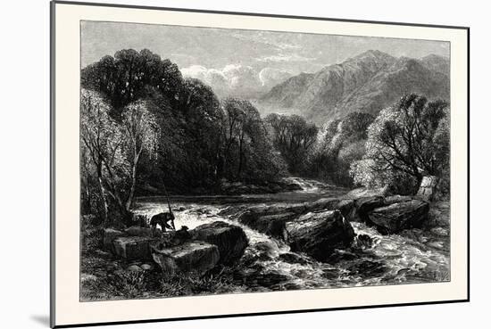 On the River Lledr, a River in North Wales and the Second Major Tributary of the River Conwy. Uk-null-Mounted Giclee Print