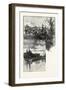 On the River Speed (Bottom); Guelph (Top), Canada, Nineteenth Century-null-Framed Giclee Print