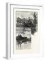 On the River Speed (Bottom); Guelph (Top), Canada, Nineteenth Century-null-Framed Giclee Print