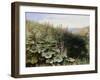 On the Riverbank-Robert Collinson-Framed Giclee Print