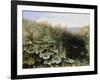 On the Riverbank-Robert Collinson-Framed Giclee Print