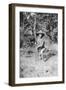 On the Road, Dett to Wankie, Southern Rhodesia, 1925-Thomas A Glover-Framed Giclee Print