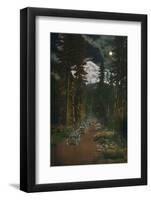 'On the Road from Mount Rainier National Park, Washington', c1916-Asahel Curtis-Framed Photographic Print