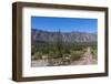 On the road in Baja California, Mexico, North America-Peter Groenendijk-Framed Photographic Print