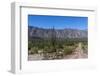 On the road in Baja California, Mexico, North America-Peter Groenendijk-Framed Photographic Print