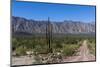 On the road in Baja California, Mexico, North America-Peter Groenendijk-Mounted Photographic Print