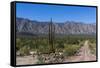 On the road in Baja California, Mexico, North America-Peter Groenendijk-Framed Stretched Canvas