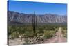 On the road in Baja California, Mexico, North America-Peter Groenendijk-Stretched Canvas