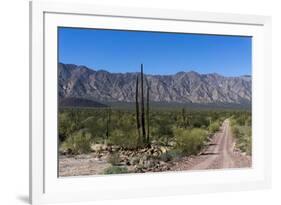 On the road in Baja California, Mexico, North America-Peter Groenendijk-Framed Photographic Print