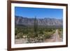 On the road in Baja California, Mexico, North America-Peter Groenendijk-Framed Photographic Print
