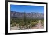 On the road in Baja California, Mexico, North America-Peter Groenendijk-Framed Photographic Print