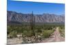 On the road in Baja California, Mexico, North America-Peter Groenendijk-Mounted Photographic Print