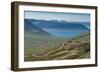 On the Road in the West Fjords of Iceland-Luis Leamus-Framed Photographic Print