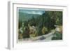 On the Road to Big Trees from Santa Cruz - Santa Cruz County, CA-Lantern Press-Framed Art Print