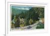 On the Road to Big Trees from Santa Cruz - Santa Cruz County, CA-Lantern Press-Framed Art Print