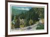 On the Road to Big Trees from Santa Cruz - Santa Cruz County, CA-Lantern Press-Framed Art Print