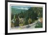 On the Road to Big Trees from Santa Cruz - Santa Cruz County, CA-Lantern Press-Framed Art Print