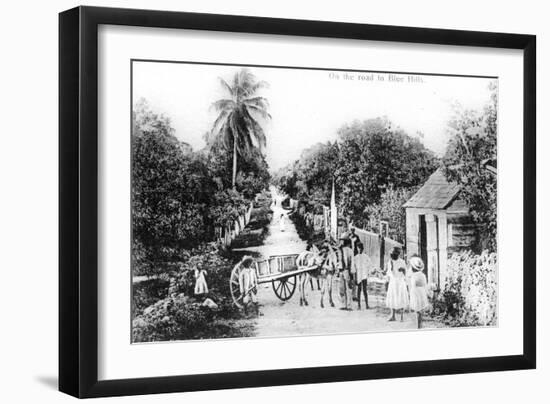 On the Road to Blue Hills, Bahamas, C1900s-null-Framed Giclee Print