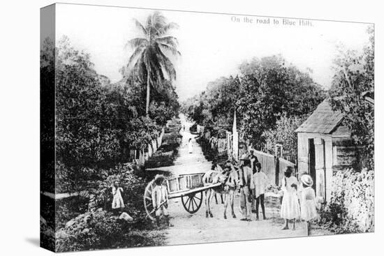 On the Road to Blue Hills, Bahamas, C1900s-null-Stretched Canvas