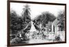 On the Road to Blue Hills, Bahamas, C1900s-null-Framed Giclee Print