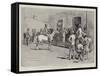 On the Road to Bulawayo, Selling Horses by Auction at Mafeking-Charles Edwin Fripp-Framed Stretched Canvas