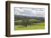 On the Road to Fort Williams-Guido Cozzi-Framed Photographic Print