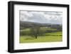 On the Road to Fort Williams-Guido Cozzi-Framed Photographic Print