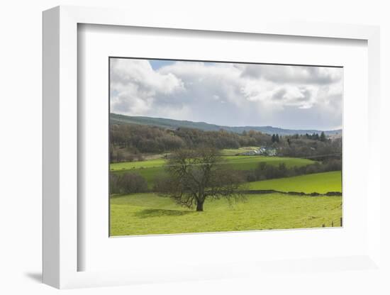 On the Road to Fort Williams-Guido Cozzi-Framed Photographic Print