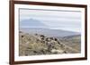 On the Road to Joklasel, Iceland, Polar Regions-Michael-Framed Photographic Print