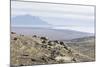 On the Road to Joklasel, Iceland, Polar Regions-Michael-Mounted Photographic Print