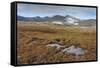 On the Road to Joklasel, Iceland, Polar Regions-Michael-Framed Stretched Canvas