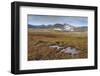 On the Road to Joklasel, Iceland, Polar Regions-Michael-Framed Photographic Print