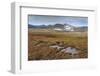 On the Road to Joklasel, Iceland, Polar Regions-Michael-Framed Photographic Print