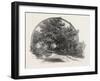 On the Road to St. Joachim, Canada, Nineteenth Century-null-Framed Giclee Print