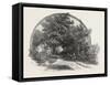 On the Road to St. Joachim, Canada, Nineteenth Century-null-Framed Stretched Canvas