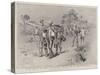 On the Road to the Front in Matabeleland, Refugees Coming on Foot from Buluwayo-Charles Edwin Fripp-Stretched Canvas