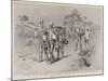 On the Road to the Front in Matabeleland, Refugees Coming on Foot from Buluwayo-Charles Edwin Fripp-Mounted Giclee Print