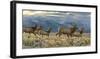 On the Run-Kalon Baughan-Framed Giclee Print