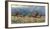 On the Run-Kalon Baughan-Framed Giclee Print