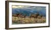 On the Run-Kalon Baughan-Framed Art Print