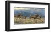 On the Run-Kalon Baughan-Framed Art Print