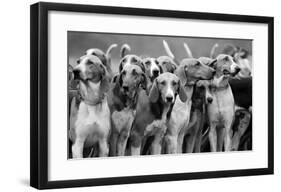 On The Scent-The Chelsea Collection-Framed Premium Giclee Print