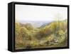 On the South Downs, England-Charles Gregory-Framed Stretched Canvas