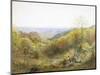 On the South Downs, England-Charles Gregory-Mounted Premium Giclee Print