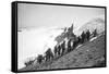 On the Summit of Rainier-Asahel Curtis-Framed Stretched Canvas