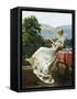 On the Terrace-Johann Hamza-Framed Stretched Canvas