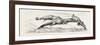 On the Thebes. Egypt, 1879-null-Framed Giclee Print