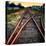 On the Tracks-Jody Miller-Stretched Canvas
