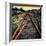 On the Tracks-Jody Miller-Framed Photographic Print