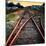 On the Tracks-Jody Miller-Mounted Photographic Print